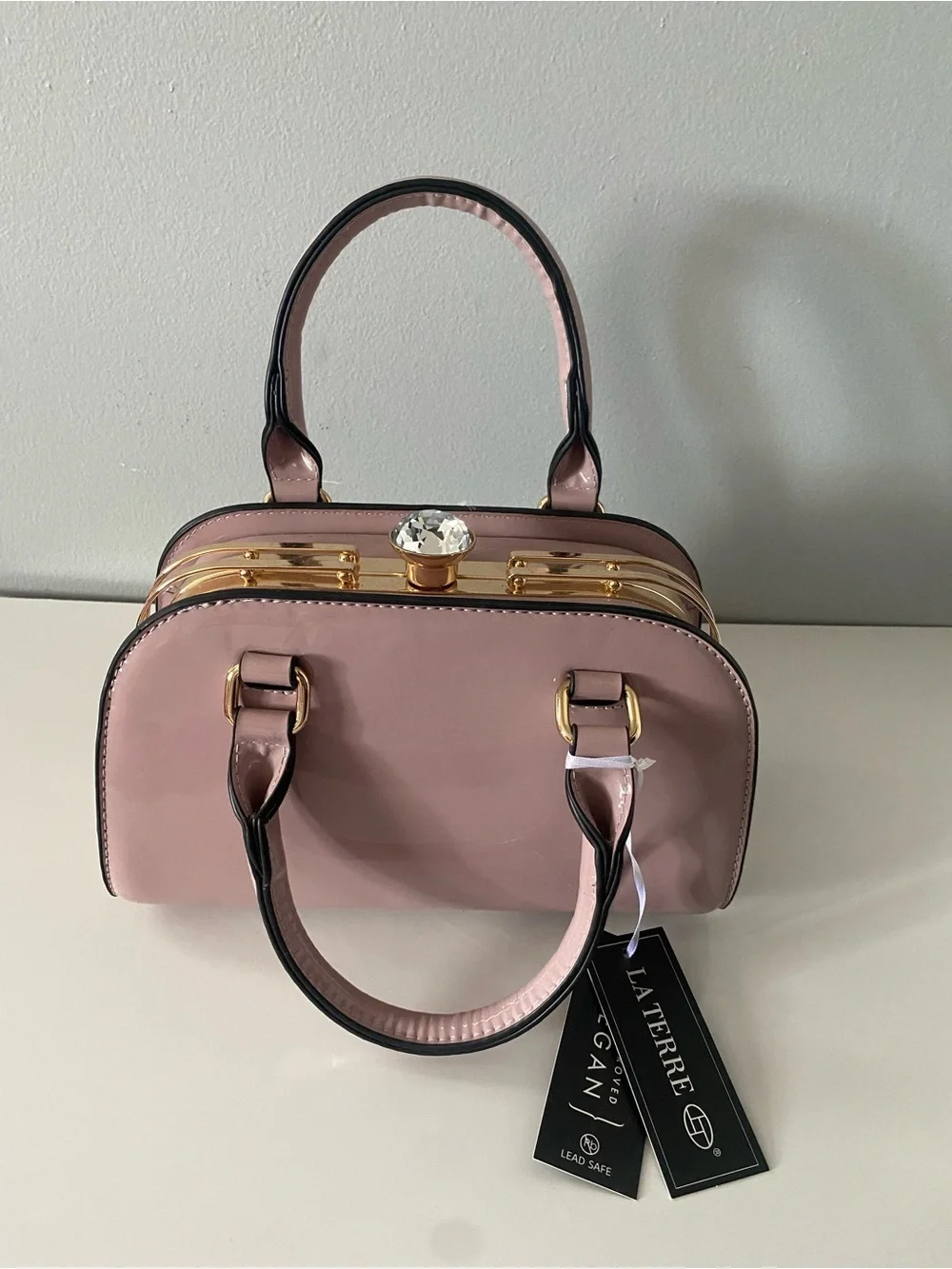 LA TERRA Pink Mini Handbag Top Handle Rhinestone Clasp NWT